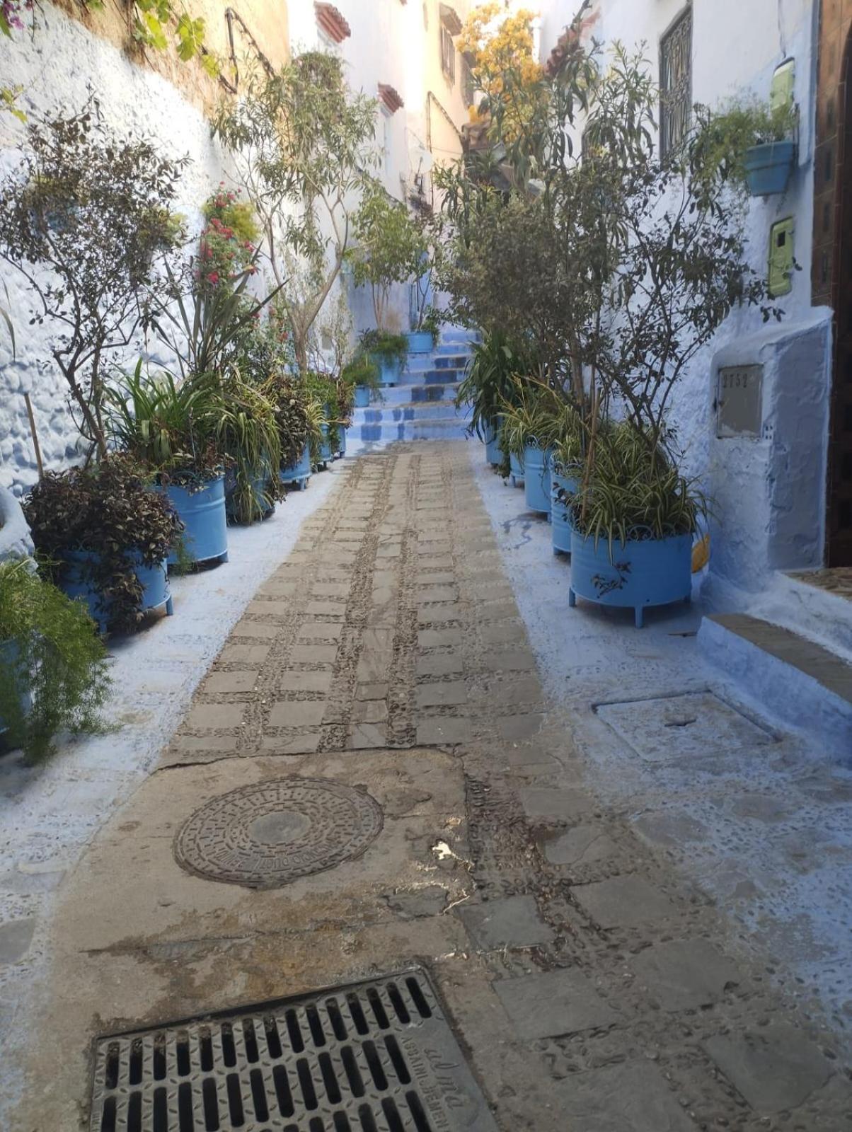 Dar Al Mansoura Riad Şafşavan Oda fotoğraf